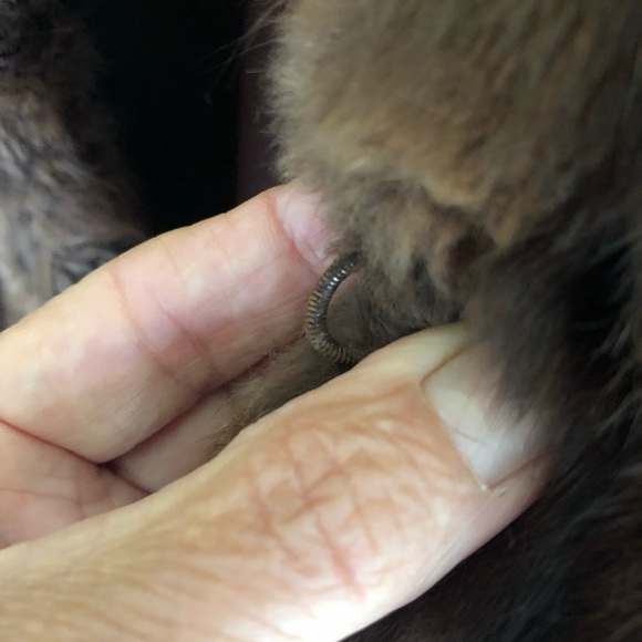 Mink fur cape stole - Picture 5 of 12